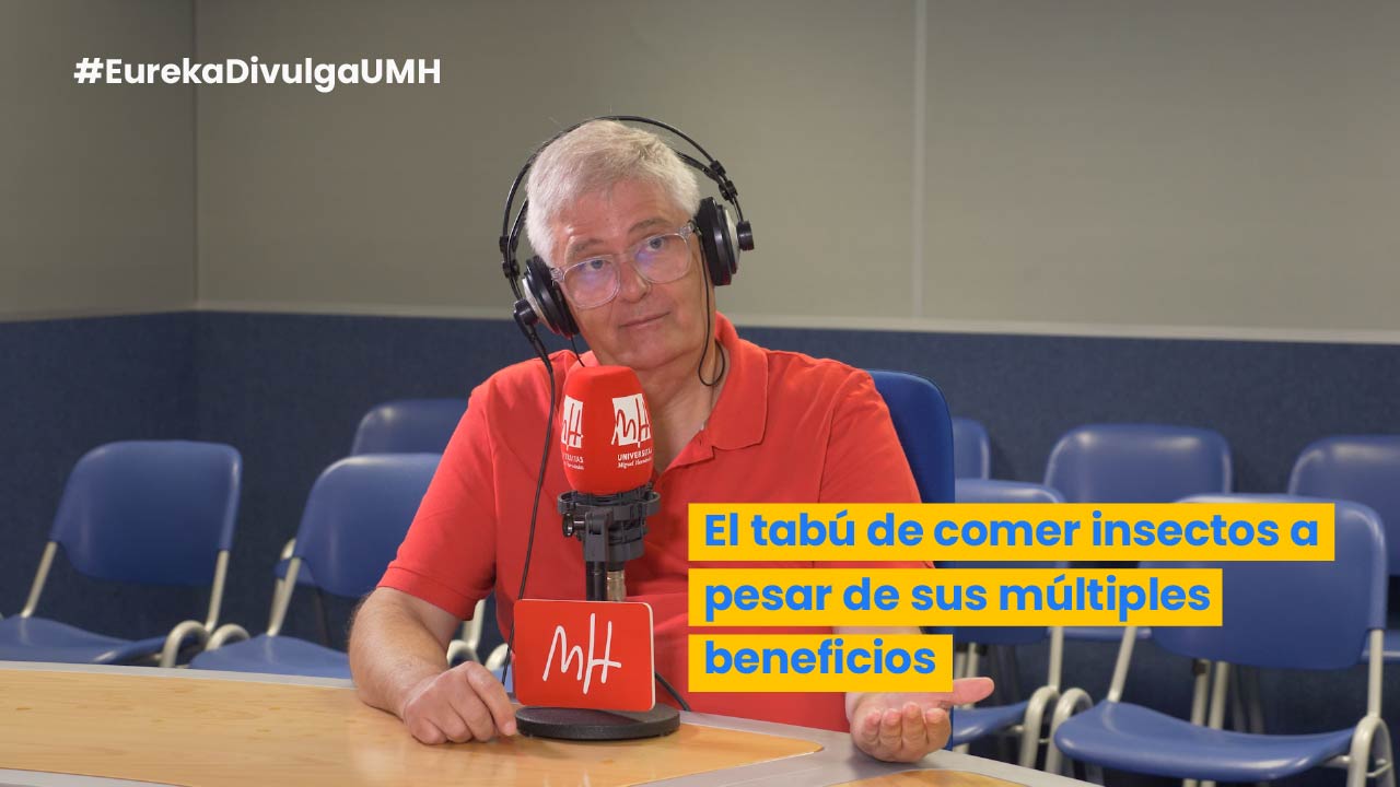 ¿Te comerías un bicho? 🐛 Spoiler: nadie quiere… aún 😏