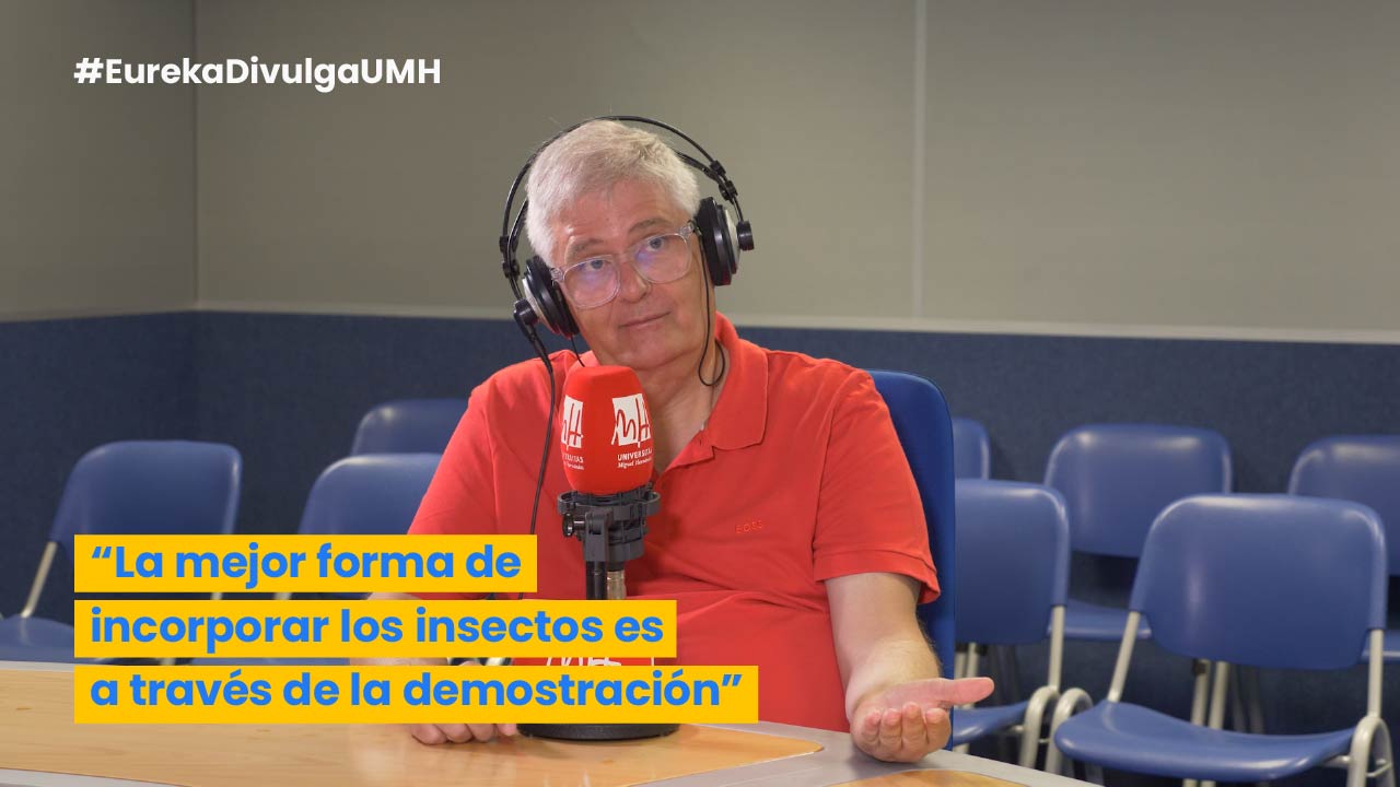 El snack del futuro: todo lo que tienes que saber sobre comer insectos | José Ángel Pérez Álvarez