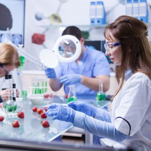 Imagen destacada de Viscosos, pero sabrosos: La alimentación a base de insectos