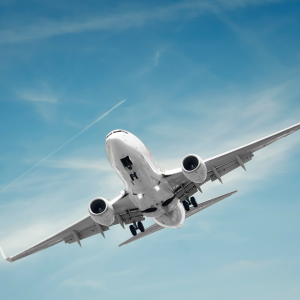 Imagen destacada de Volando voy y ¡Pum!: Las colisiones de aves con aviones