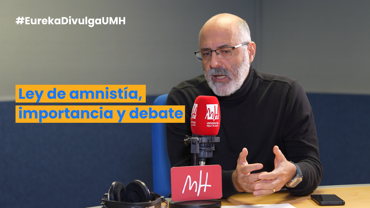 Ley de amnistía, importancia y debate