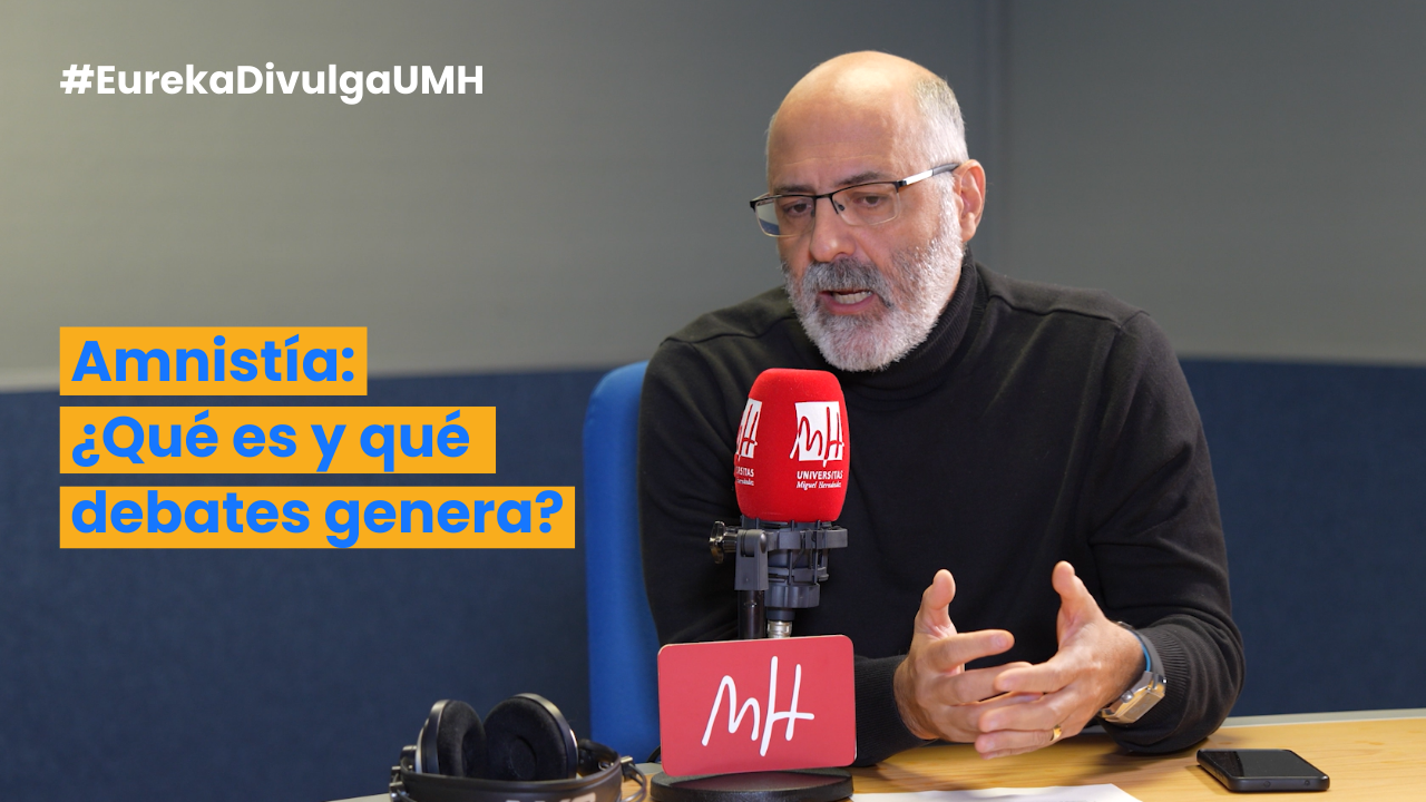 ¿Qué es la amnistía?