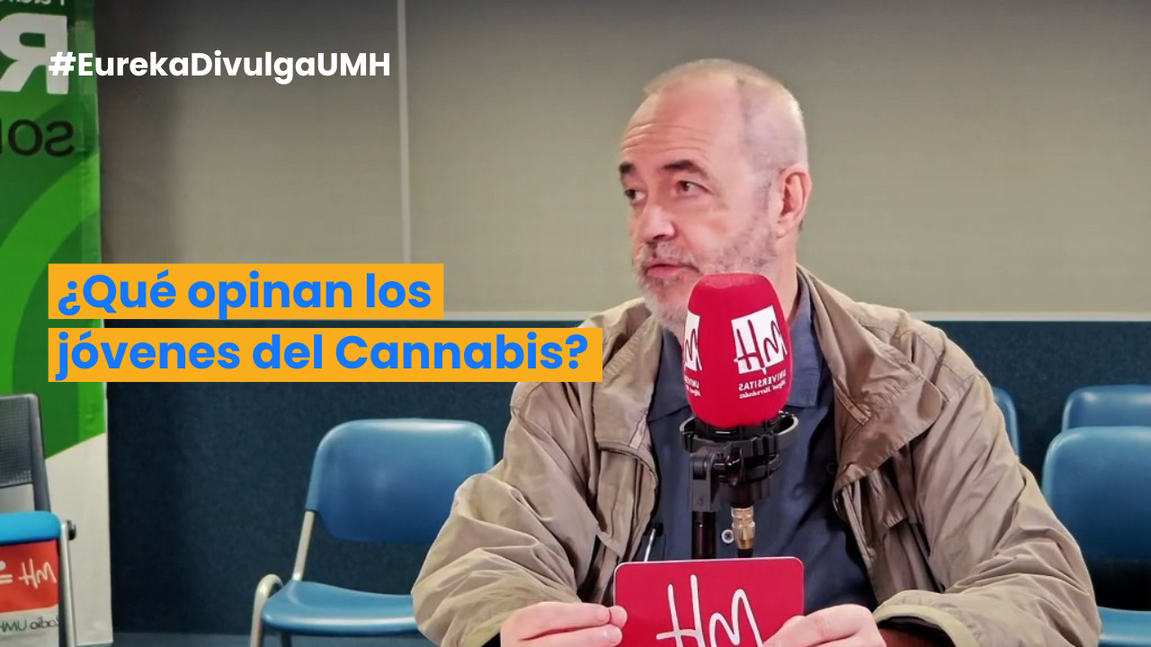 ¿Qué opinan los jóvenes del cannabis?