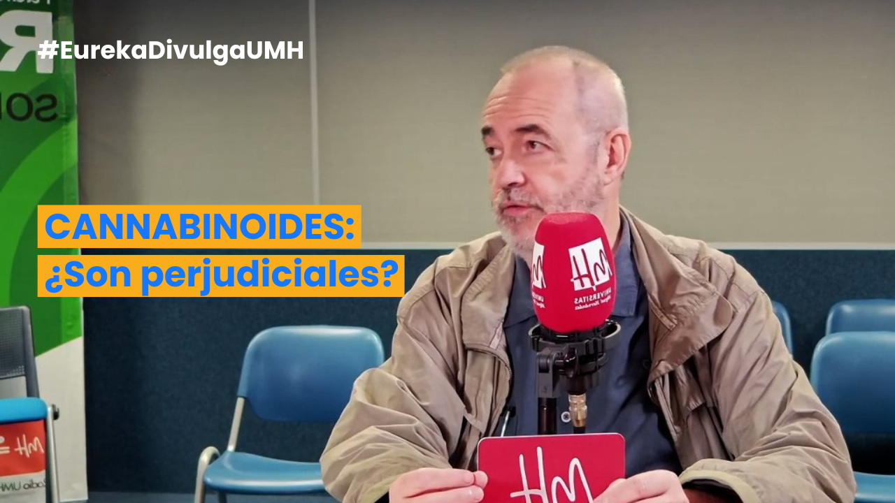 CANNABINOIDES:¿Son perjudiciales?