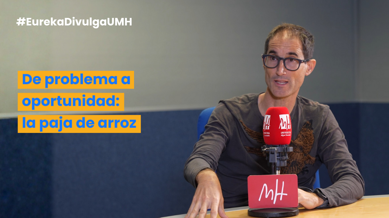 De problema a oportunidad: la paja de arroz